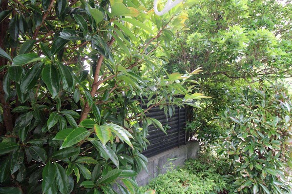 レオパレスピュアブリーズの物件内観写真